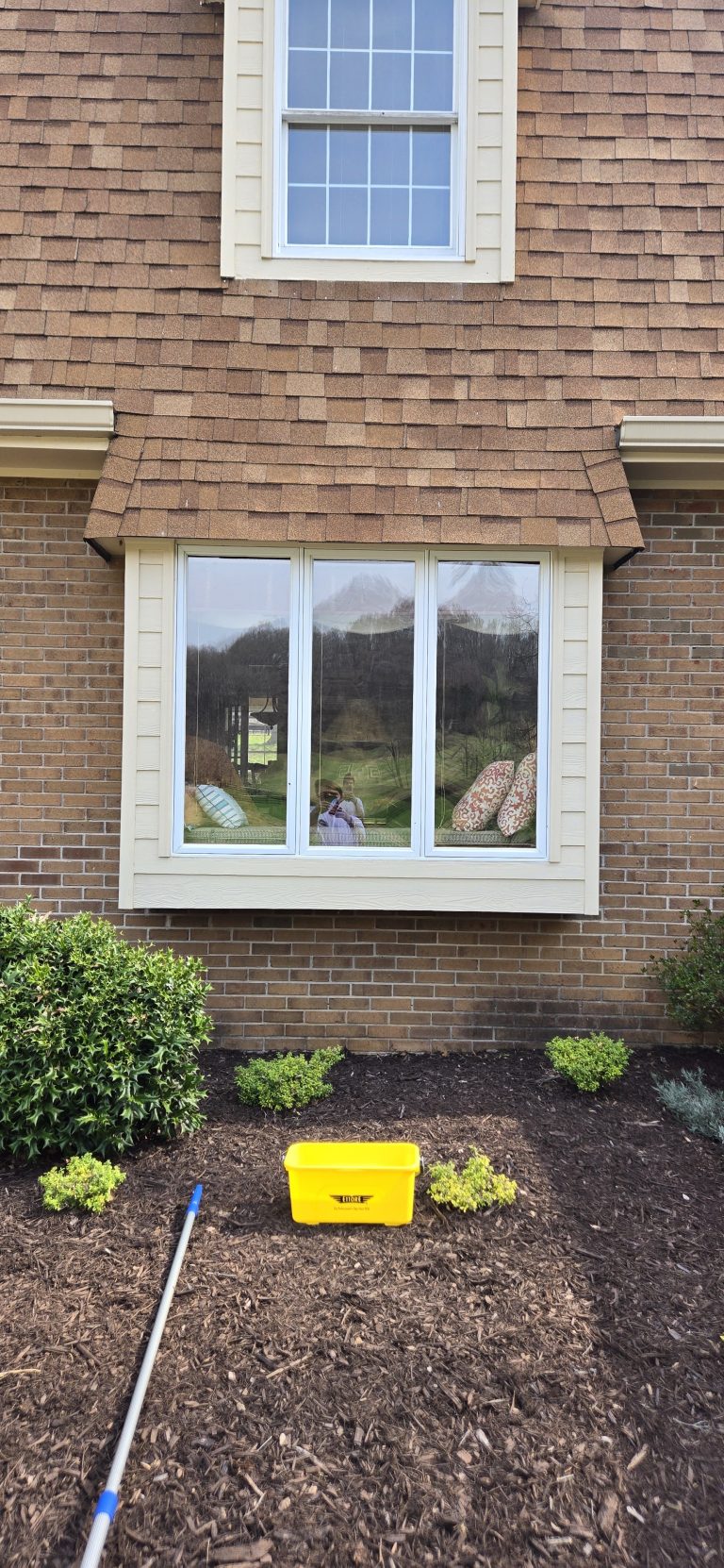Window Cleaning