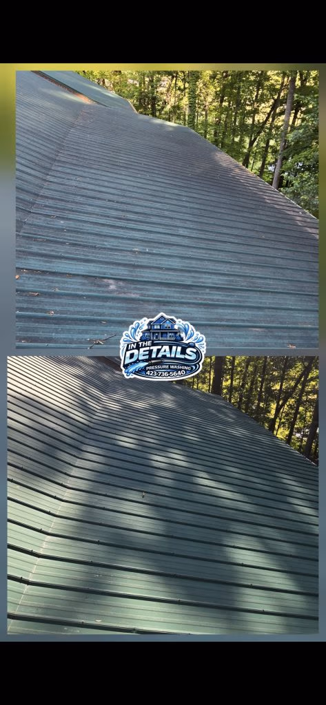 Roof Cleaning Bristol VA