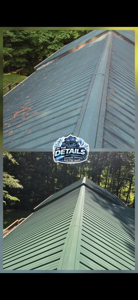 Roof Cleaning Bristol VA